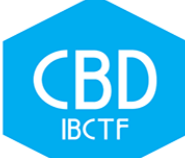 2023年第25屆中國（上海）國際建筑貿易博覽會（中國建博會上海）