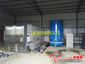鑫正達(dá)機(jī)械 供應(yīng)蘑菇 滅菌器 方形滅菌柜 電加熱滅菌設(shè)備